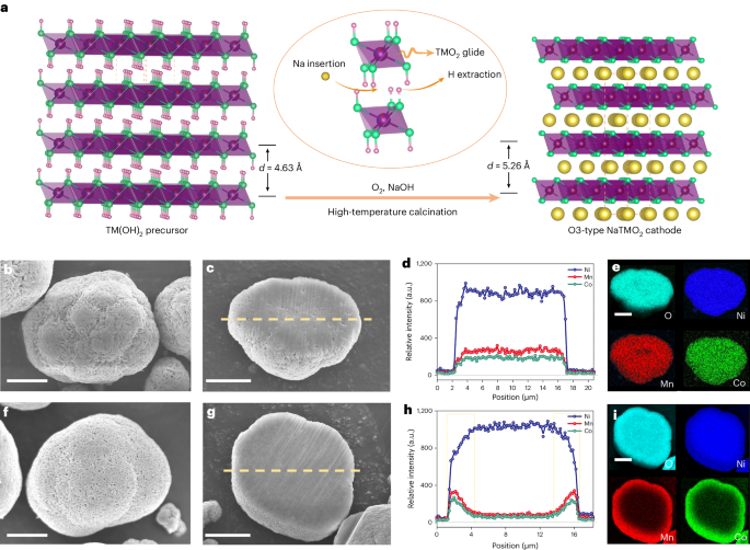 ʵңNature Nanotechnology