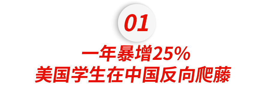 ¼ȡʵ2%ɽſ˺Ŧ󣬱ϹвѾʲ𡹡