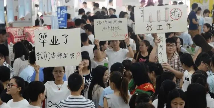 太扎心!28岁女硕士投了8000份简历都没找到工作