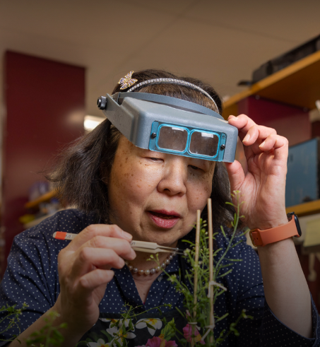 刚刚!屠呦呦当选美国科学院外籍院士