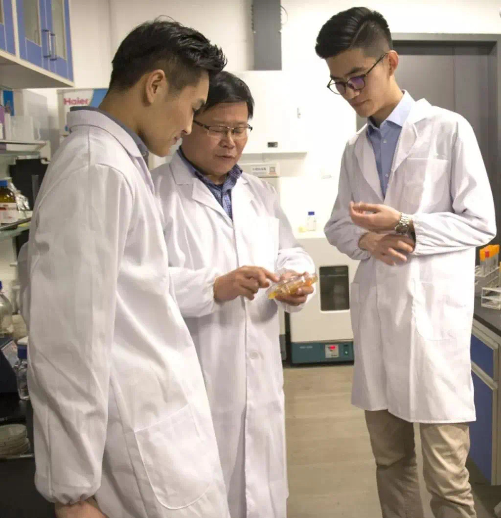 天大合成生物!从一门课到一个国际前沿学科