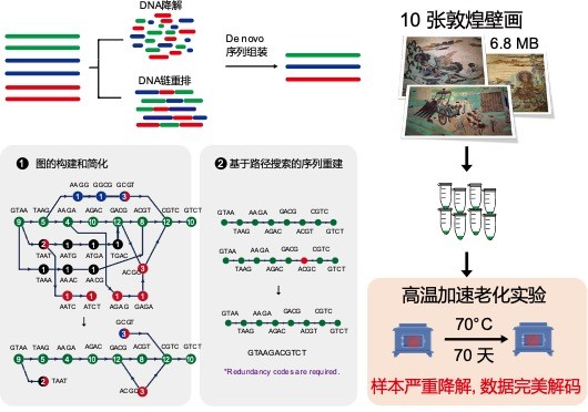 天大合成生物!从一门课到一个国际前沿学科