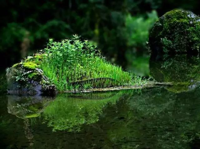 写在5.12的爱国帖