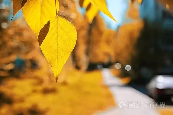 人心不同,不必路同