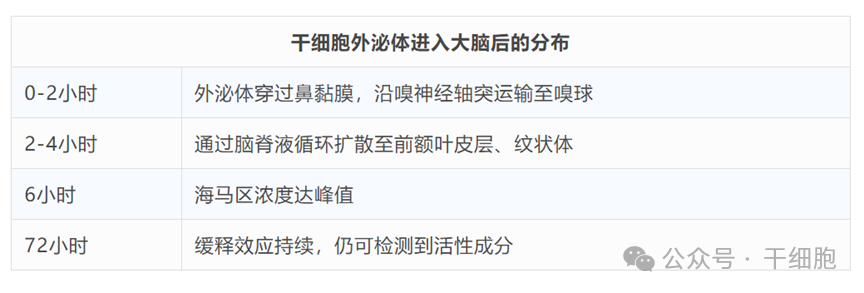鼻滴干细胞外泌体,改善焦虑、抑郁行为!指标减少近50%