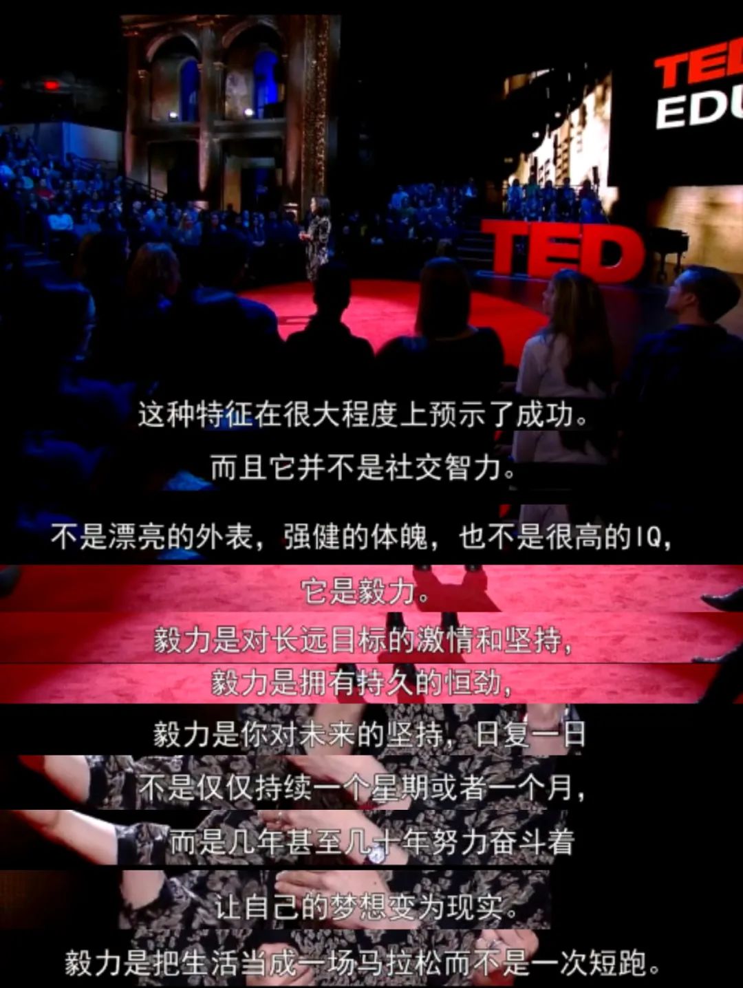 三千多位高考状元, 无一行业领袖:比智商更重要的成功秘诀是……