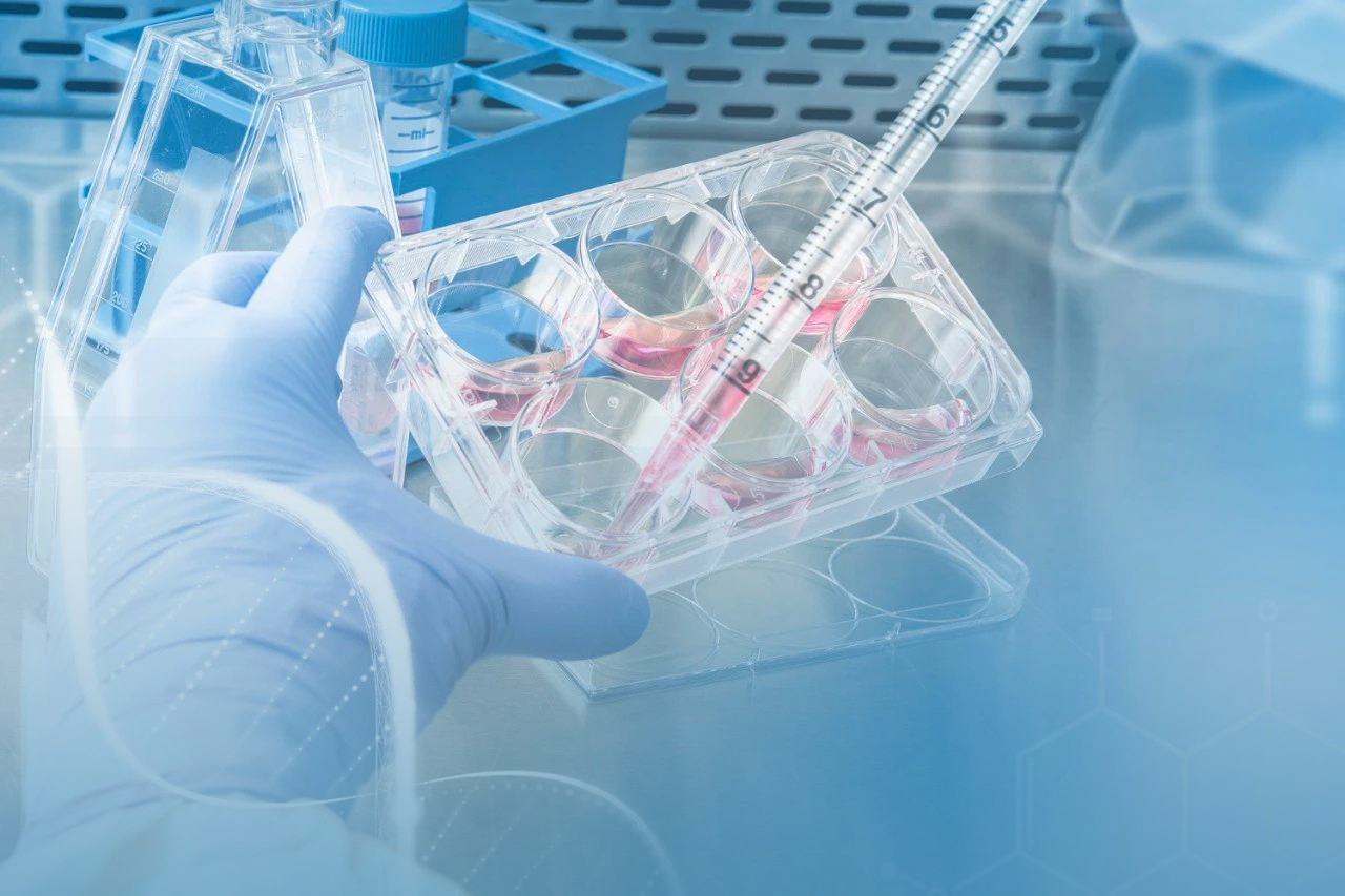 ASCO 2025 ؼȫרҶԻٴ鵽ͻ