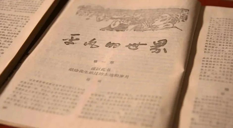 她不会回来了