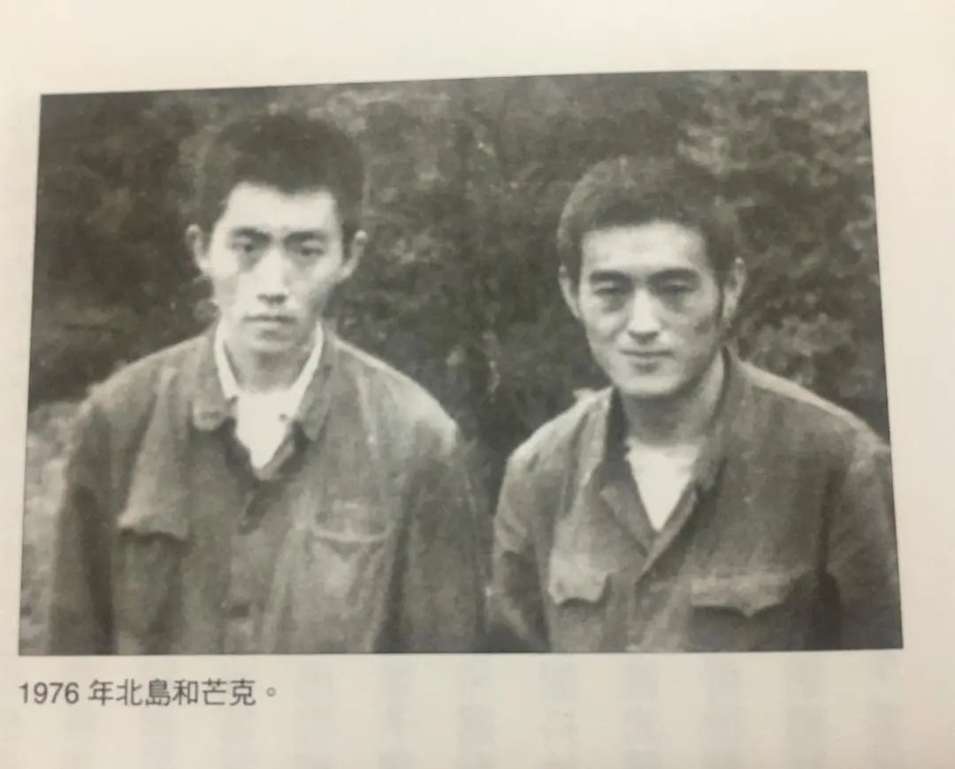 她不会回来了