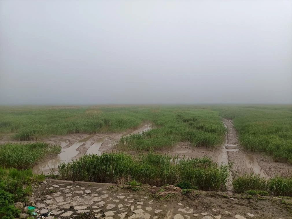 再造一个中国——河南经济发展的战略研究报告