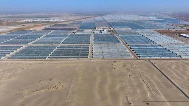 再造一个中国——河南经济发展的战略研究报告