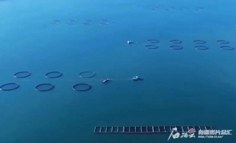 再造一个中国——河南经济发展的战略研究报告