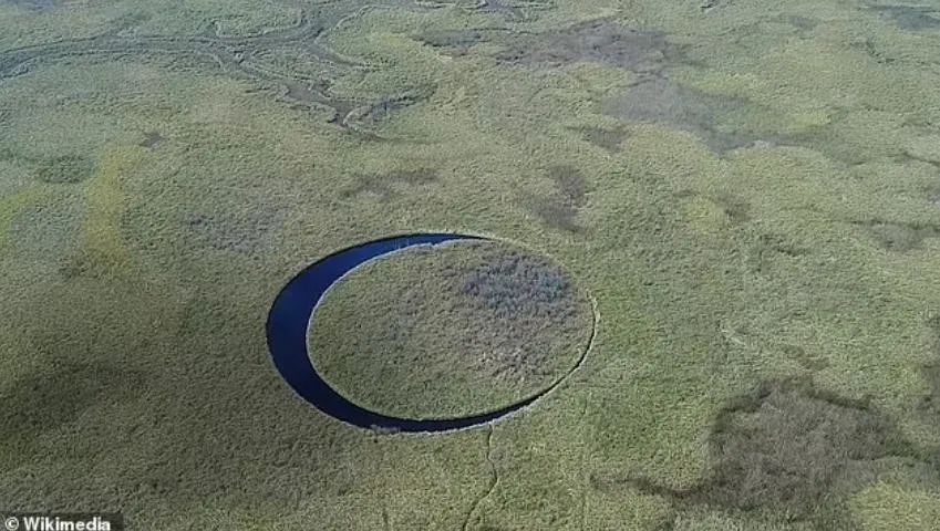 СԼұȸ־ĵ壬ȫ߹⣬Ӵ˰꣬......