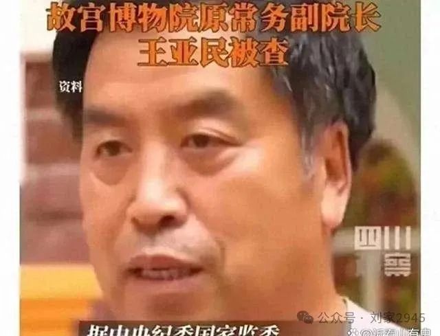 故宫副院长大宅被抄,狗窝都用和田玉,这水到底有多深?