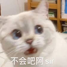 AI̸û뵽ǰŮChatGPTַ