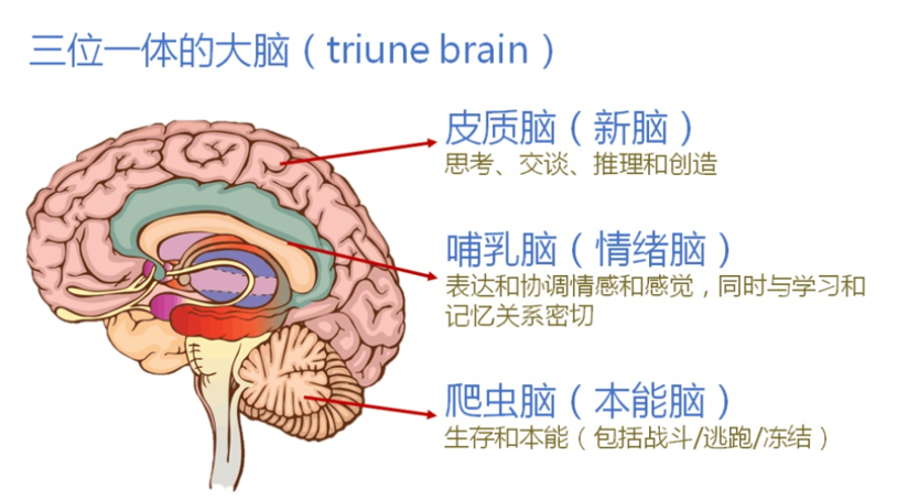 ¾κθ˵ѧĳĳרҵᱻAI̭ģԲҪ