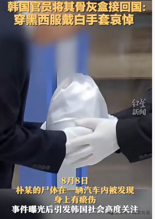 韩国学霸的死亡,导致了太子集团的覆灭