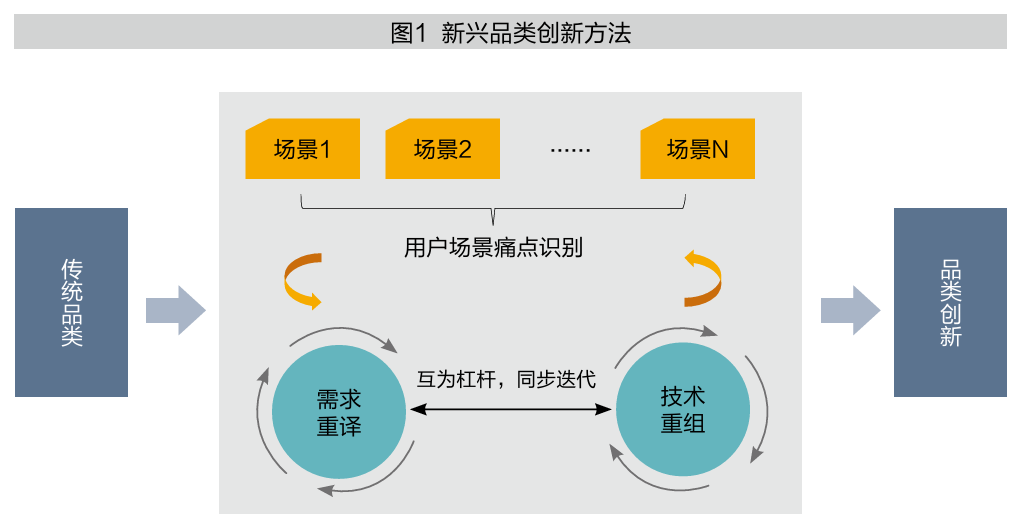原创 | 破除“内卷式”竞争:独具特色的新兴品类创新模式