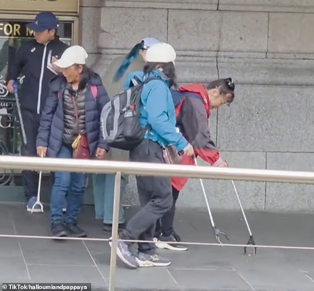 一群日本人在澳洲知名景点前做这事, 本地人瞬间尴尬! 他们集体涌入澳洲, 疯狂内卷…