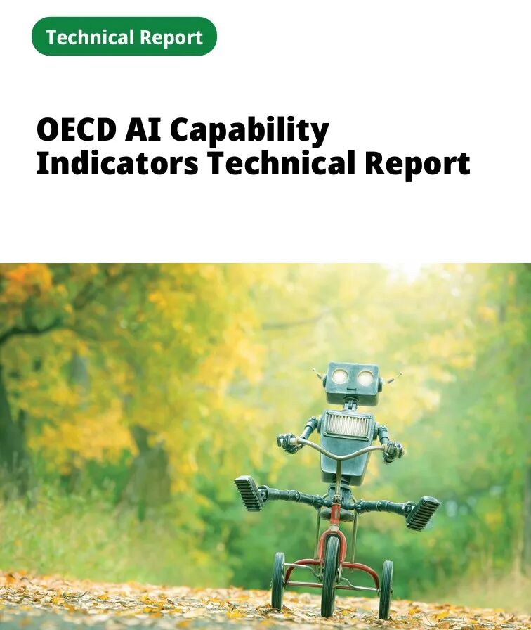 OECD发布AI能力指标评估量表