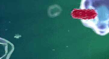 6种食物被证实「促癌」,很多人每天都在吃