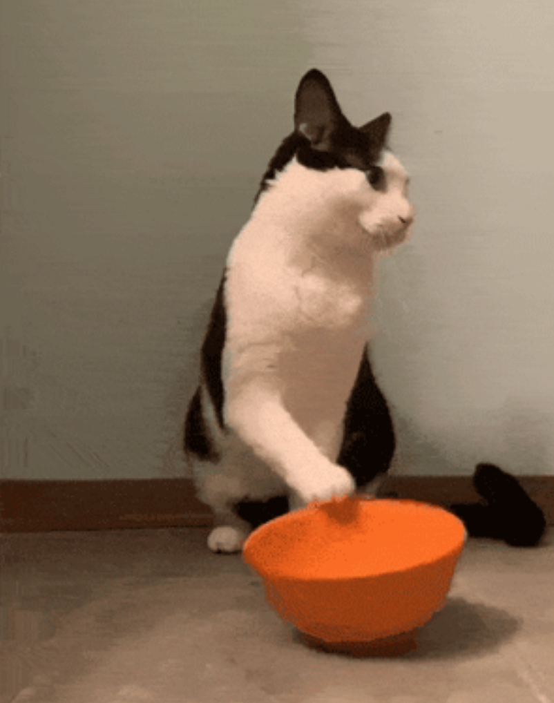 6种食物被证实「促癌」,很多人每天都在吃