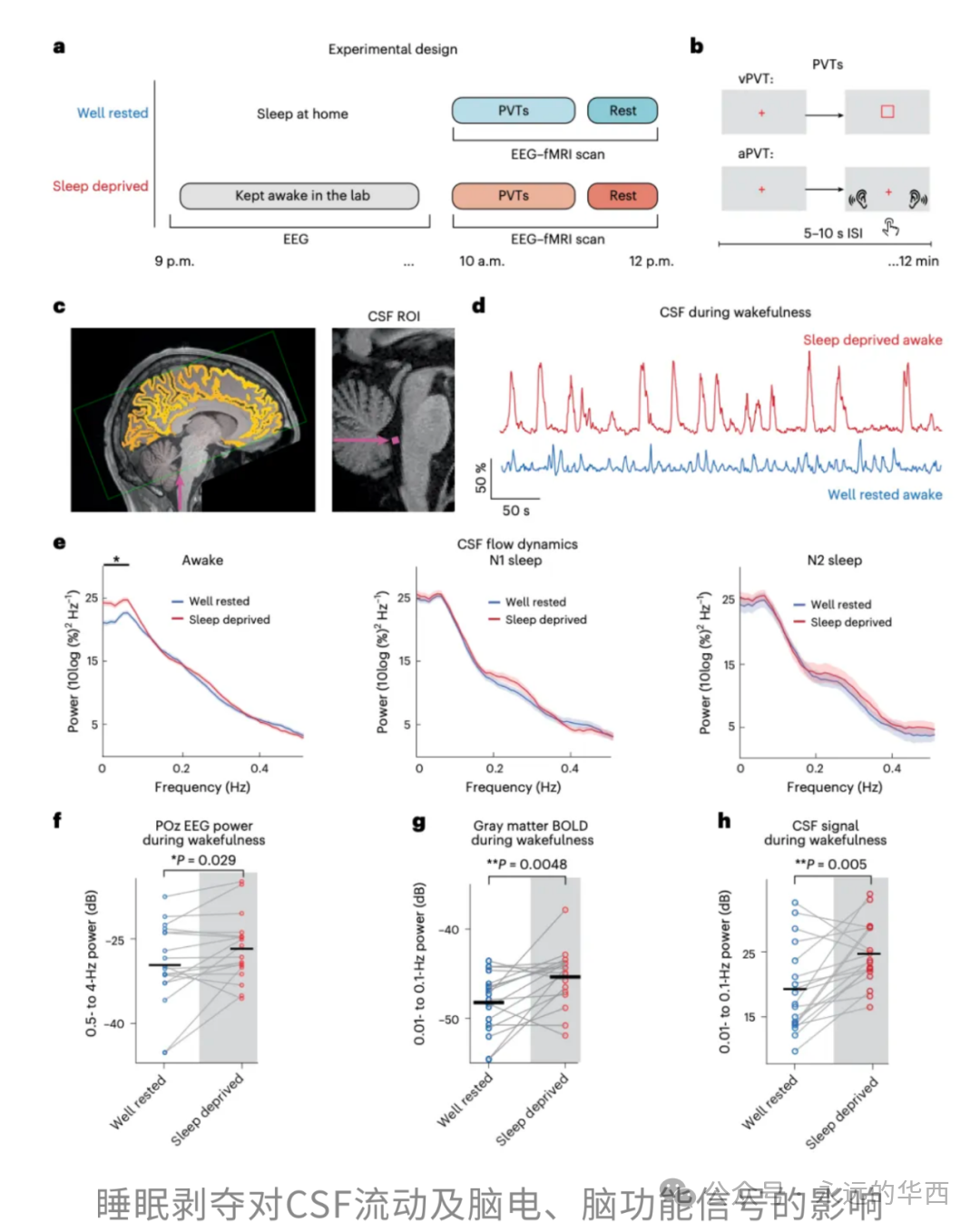 һֱ����ҹ�ᷢ��ʲô��Nature�ӿ������Ա��ȿ��������ϵͳ������֪���̣��񾭻���������ҡ����һᴥ����֢��Ӧ������ץ��