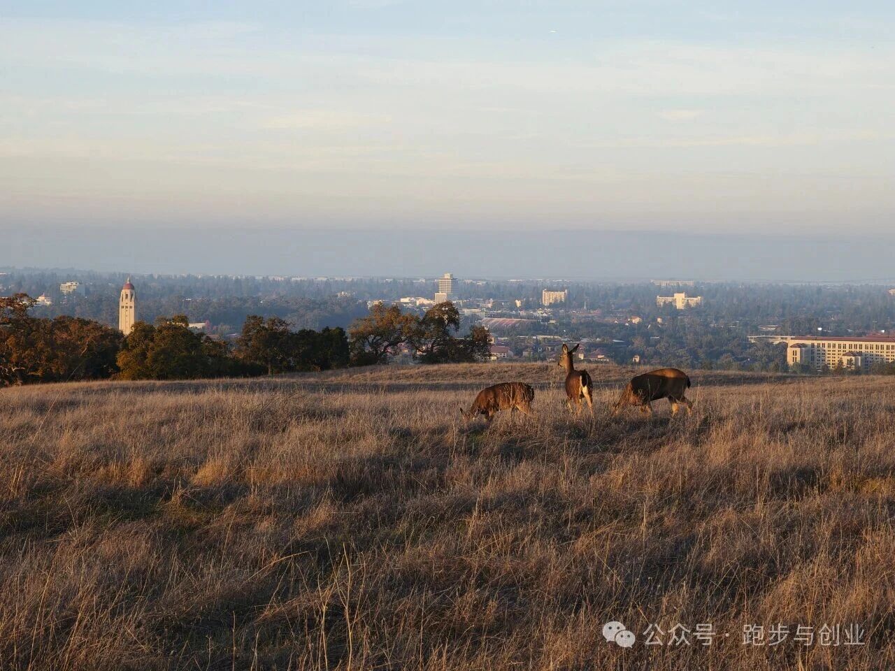 �������֮�еĸ���