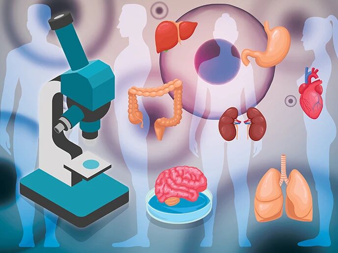 2025���������ཡ�����Ĵ�ҽѧ��չ