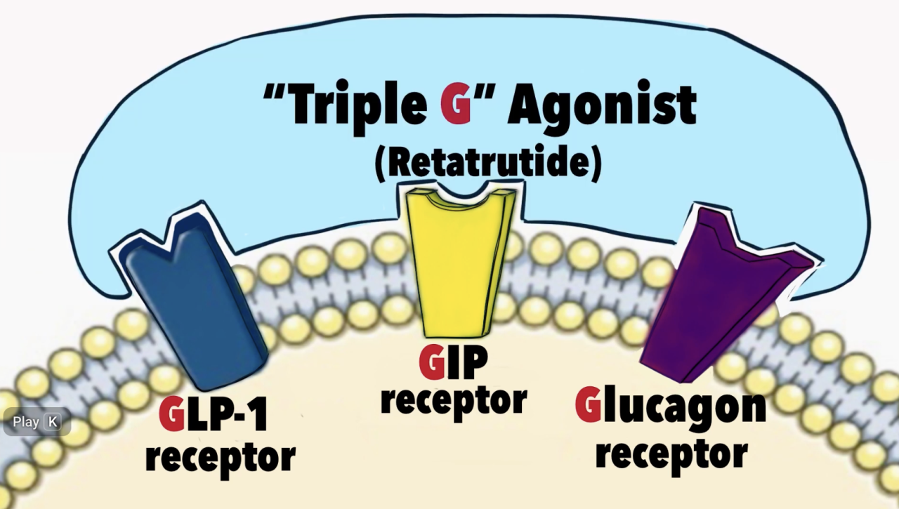 2025���������ཡ�����Ĵ�ҽѧ��չ