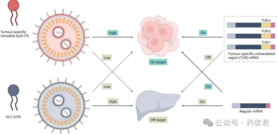 Nature�ذ���mRNA��׼������˫���ء���������Ч��ȫ˫ͻ��