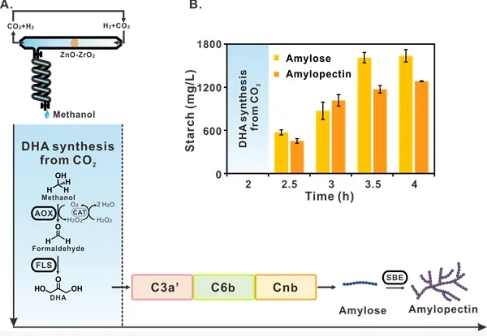 �й����ڷ���һ��Ӱ��������������ĸ���