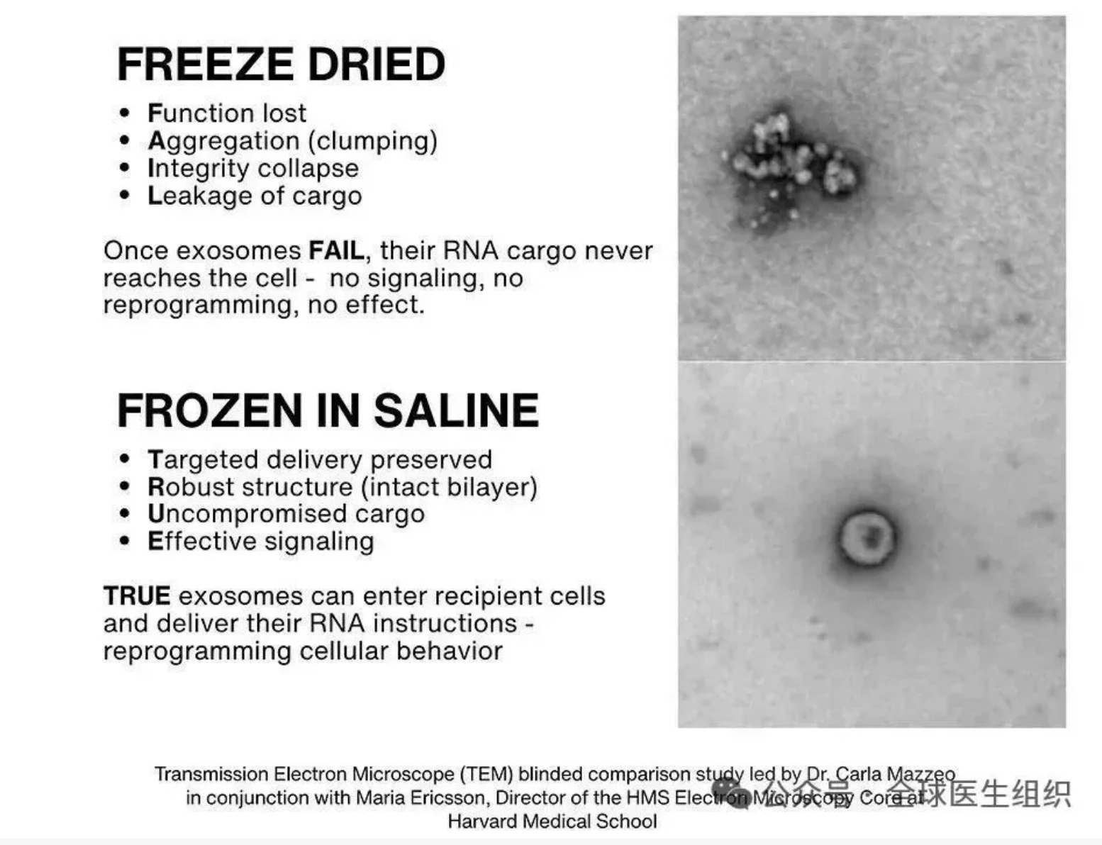 ʵ����֤�������ĺ�Ĭ����ȫ����ת����NAD+���