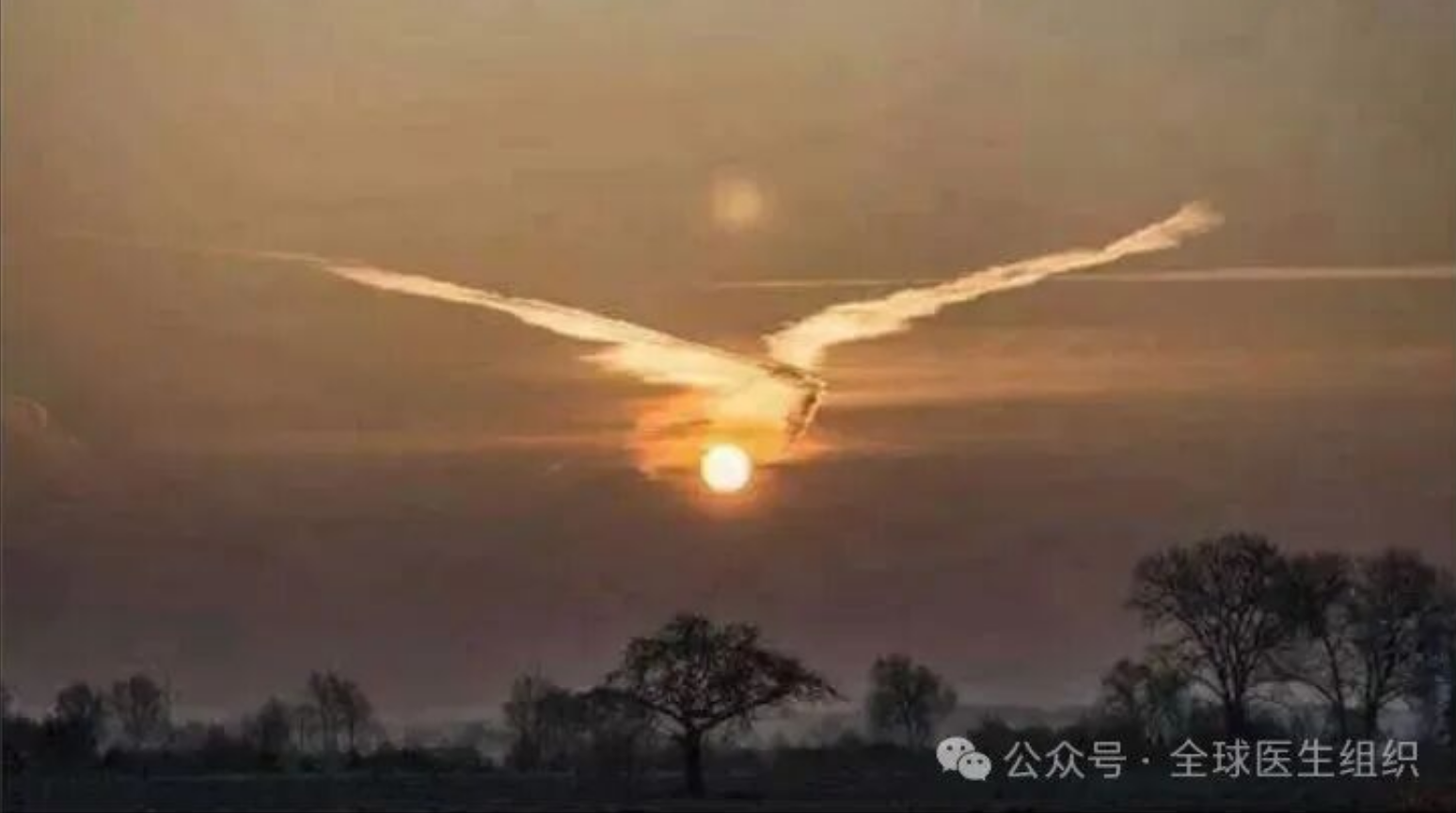 ʵ����֤�������ĺ�Ĭ����ȫ����ת����NAD+���