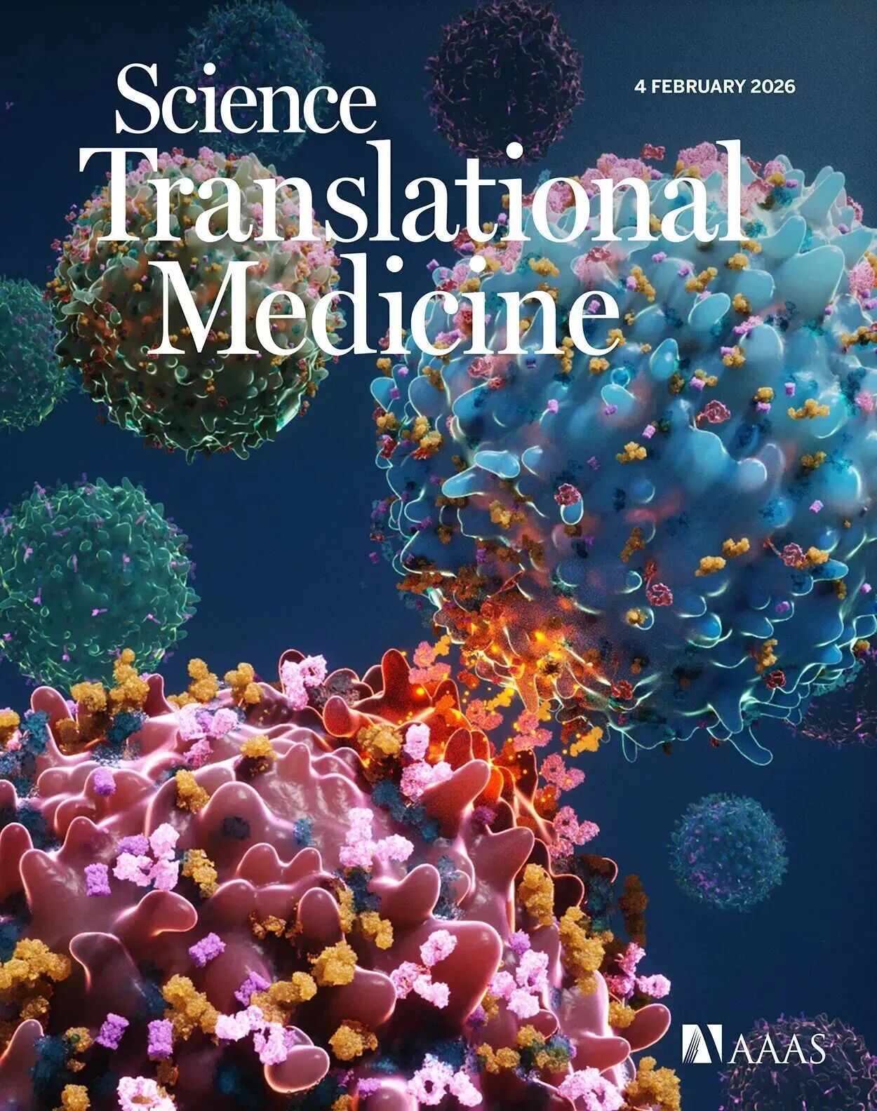 Science �ӿ����棺�����Ŷӿ������� CAR-T���������������