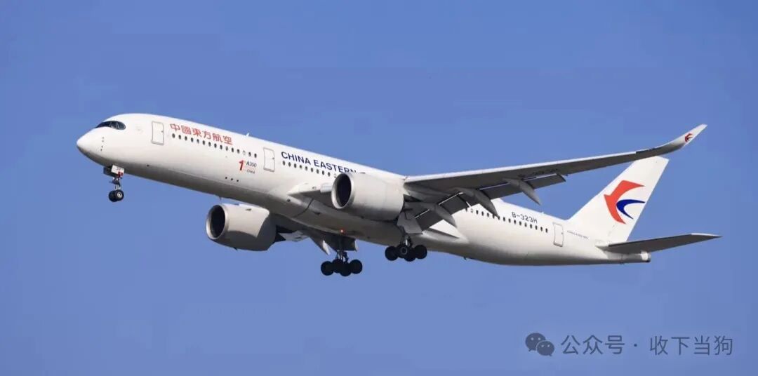 һ��ֱϽ���ж����йܸɲ��������Ϻ�Ϊ��