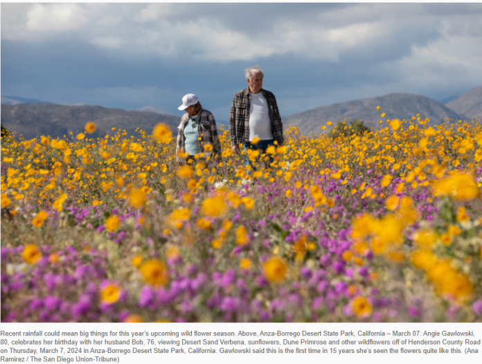 ����Ұ����ӭ��ʢ������ר�ҽ���������꼰��Ի��ڵ�Ӱ��