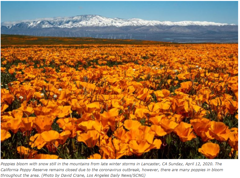 ����Ұ����ӭ��ʢ������ר�ҽ���������꼰��Ի��ڵ�Ӱ��