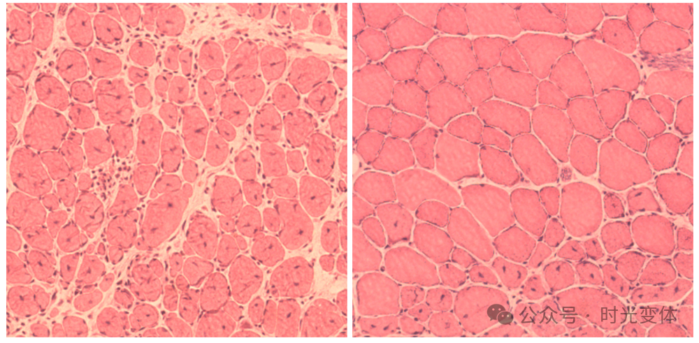 FDA���ڷ��У��������Sinclair�ġ����ϻ�ͯ���Ʒ������������飬���೤���¼�Ԫ���ˣ�