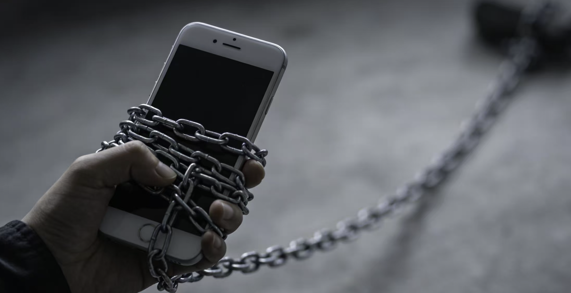 �ұ�������ѧ�����ˣ�5�걩��240%�����ʹ����ȫ��ϰ������һ�����ӡ�