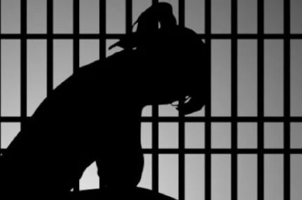 �о��ˣ�71�껪�����ʦ������ƭ2400��ҽ����������֢�Ա�����������û��3�ڣ�