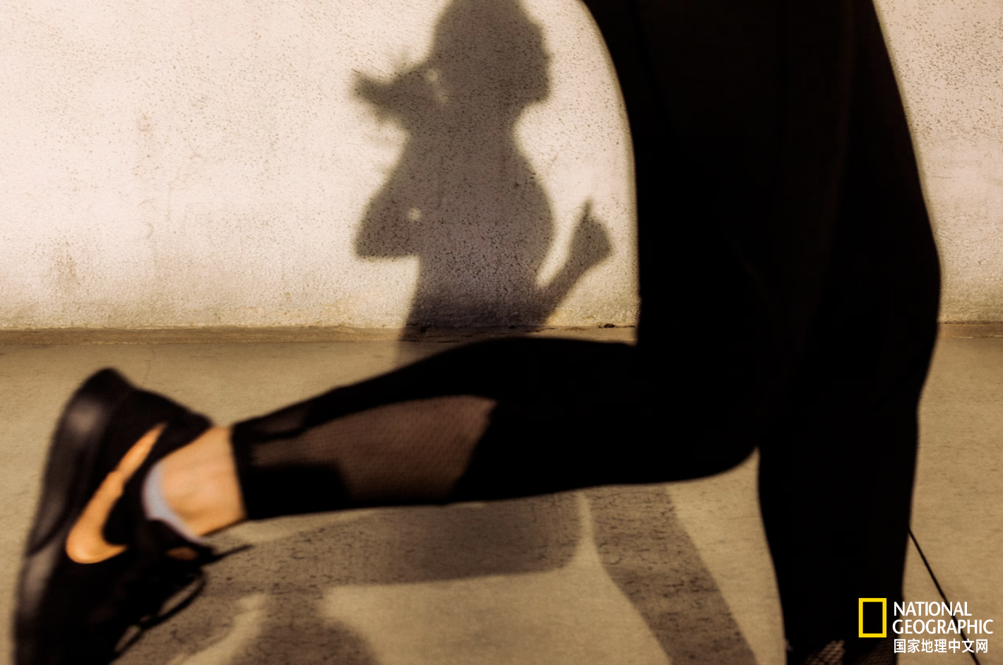 �˶��ܵ����ȾƵ��˺��������о������˴�