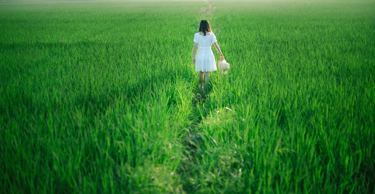 ��������������Կ�ף�����ν��û��Ҫ��������