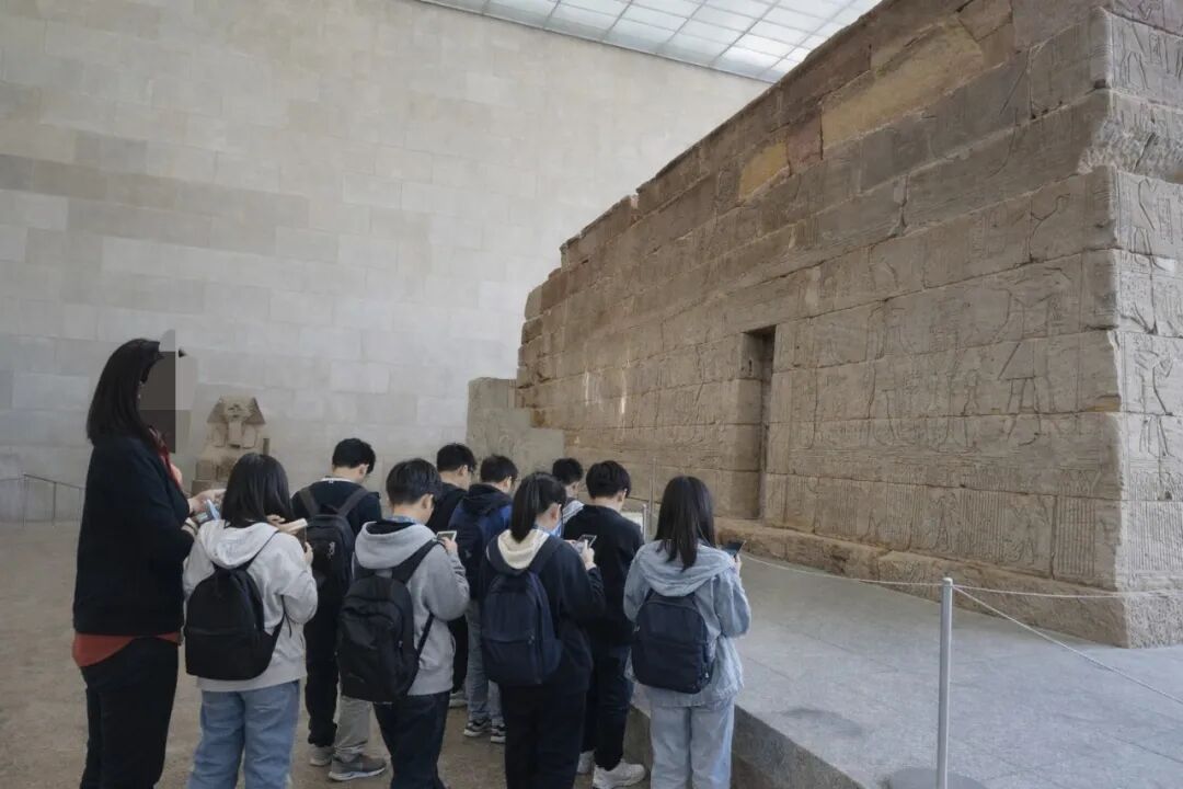 ����ŦԼ��ײ��8��Ԫ��ѧ�Ŵ�ˮƯ