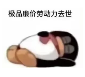 ����8����Ӣ��ѧ���塰���ӡ���ȣ���������ס���ˣ�����