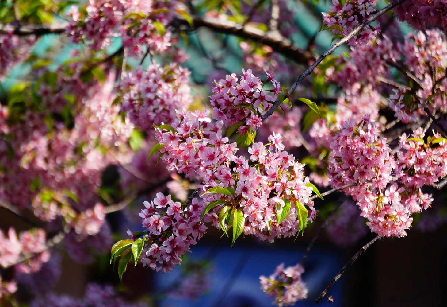 ��ׯ�ӡ������������ɣ�����ӵ�кܶණ�������ǿ��Բ������κζ���