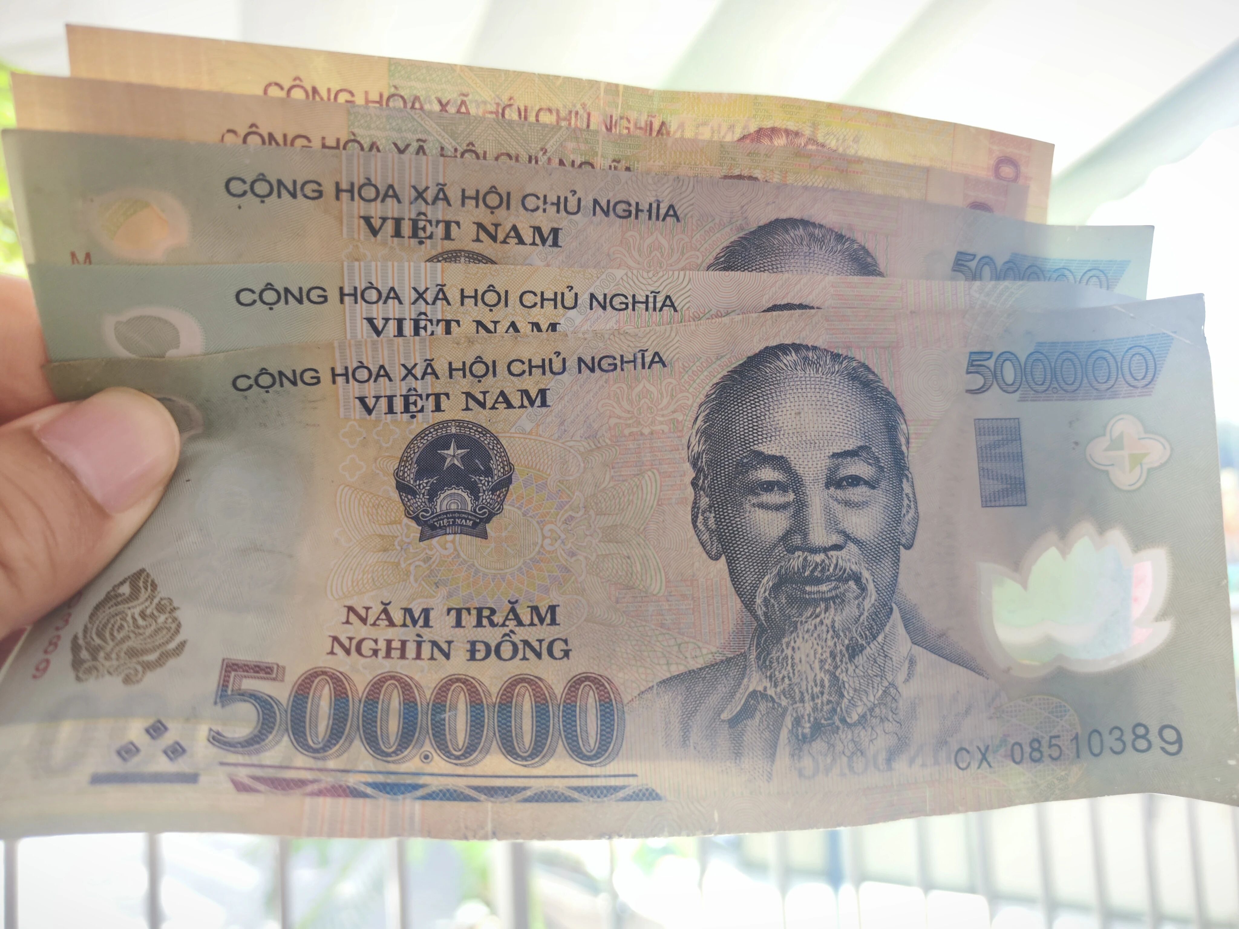 ����ƽ�����Ȼ����Խ�ϣ��ҿ�������һ�����������漣