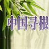 中国国务院侨办“寻根之旅-中国舞专题”和“巴蜀文化行”夏令营报名开始