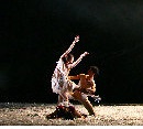 北京��代芭蕾舞�F将在布�克林音��W院演出「野草」（NY 10/15-18）