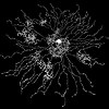 麻省理工学院： 电脑游戏透露视网膜神经细胞信息